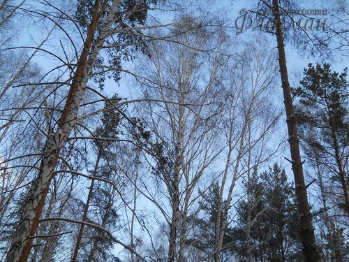 DSCN0121_r